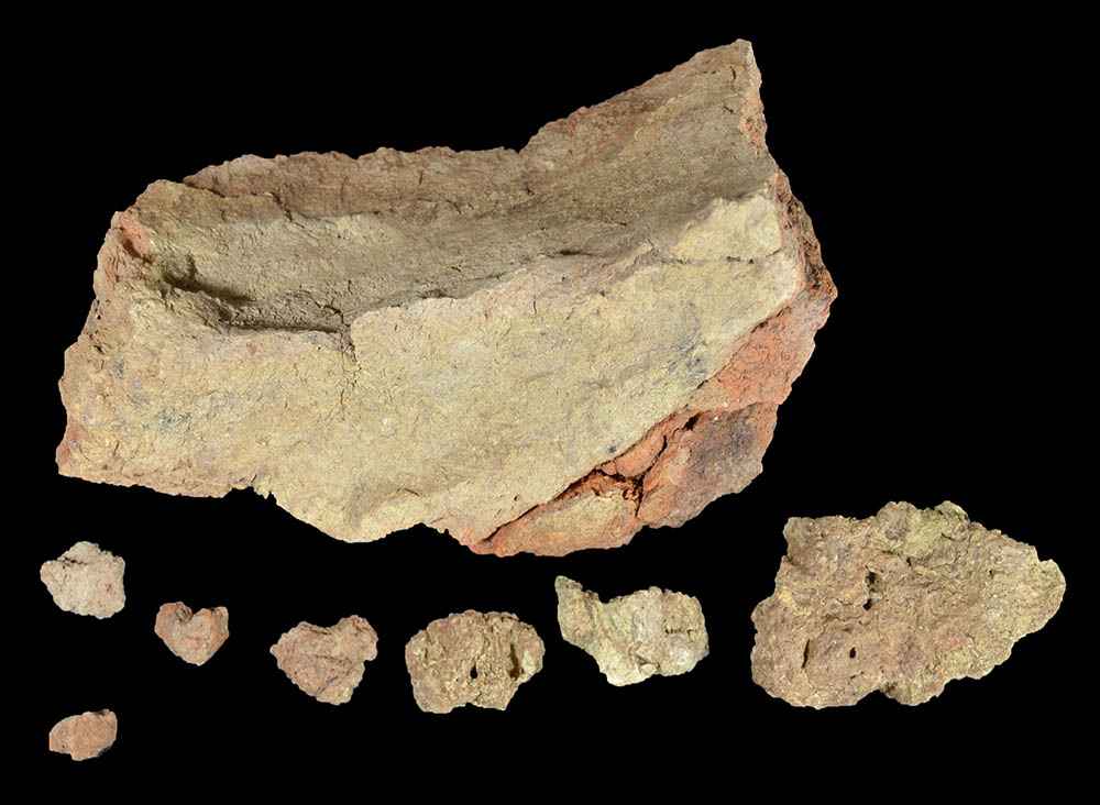 Fragments of material pulled from a trench photogrpahed on a black background.