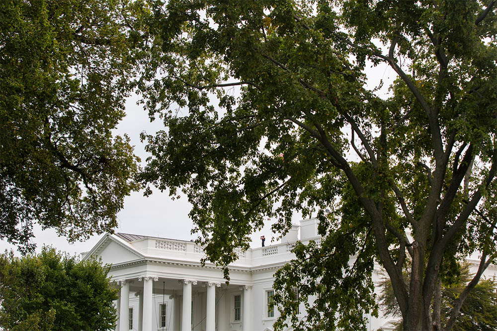 View of the White House through some trees