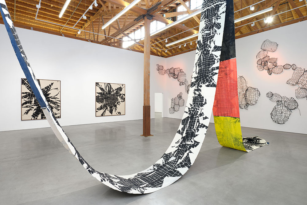 Installation view of various artworks haning on walls and draped from the ceiling.