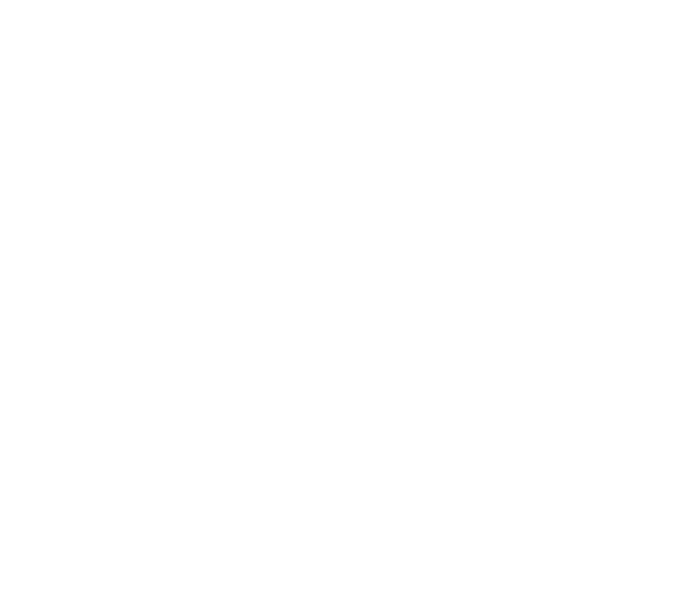 The Institute of Fine Arts, NYU logo featuring the NYU torch
